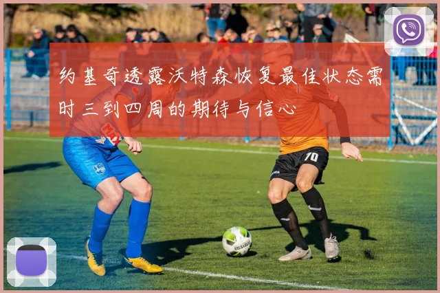 约基奇透露沃特森恢复最佳状态需时三到四周的期待与信心